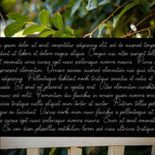 Load image into Gallery viewer, slf picnic basket single line font for cricut silhouette cameo solo brother scan n cut glowforge frames sign making cardmaking and foil quill